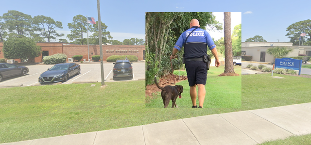 Puppy walkers for the clearance police